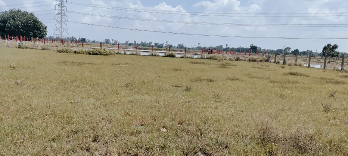 1200 SFT Residential Land