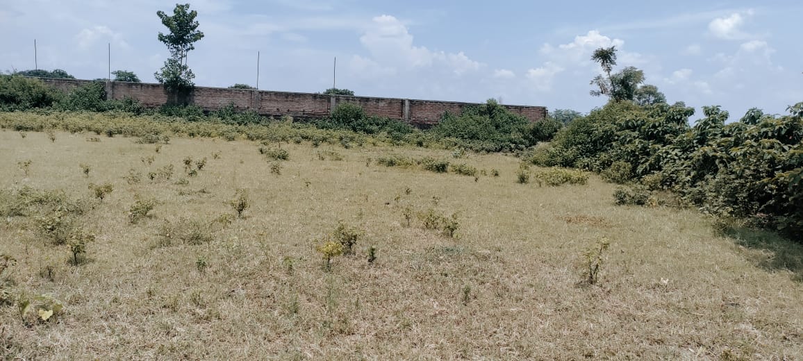 1200 SFT Residential Land