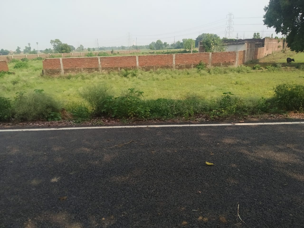 1200 SFT Residential Land